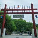 담양참사랑병원 | [전남 담양] 대나무 향 가득한 &#39;죽녹원&#39; 방문 후기