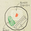엠티365