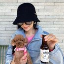 뽀그리멍 이미지