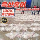 청정바다수산