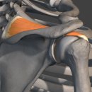 금빛 태권도장 이미지