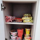 진도개패밀리 이미지