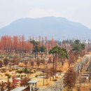 세종호수공원 이미지