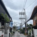 The Shark | 치앙마이 8박 9일 | day7, shark&#39;s shack 스무디볼, lavender toxsen massage, 캄빌리지도서관, 크루아...