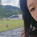 만남펜션 | [단양 애견펜션] 구름이와 함께한 세모하우스 내돈내산 후기!