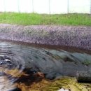 승규농장 이미지