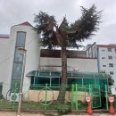 송정유치원 이미지