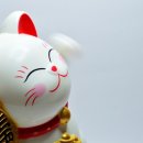 운이좋아 이미지