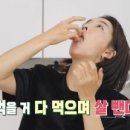 마녀참치 이미지