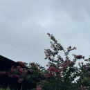 비비큐(BBQ)광주교대점 이미지