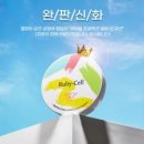 루비셀 - 원주시 웅비2길 8 | 루비셀