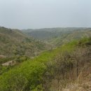 장기목장 이미지