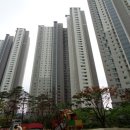 산호대로-9 이미지