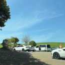 화면속으로 | 제주 동쪽 가볼 만한 곳 윈도우 배경화면으로 유명한 안친오름 솔직 후기