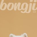 서울동물 | 🐶잇츠미 스튜디오📷 서울 송파 반려동물 프로필 촬영 후기(서울 송파 개족사진)