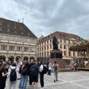 노틀담세탁 이미지