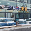 코리아회집 이미지