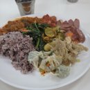 진관홀식당 | 세종대 학식 4월 후기｜계절밥상 + 스위티움 기숙사 식당 이용 후기