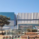 냥냥펀치 이미지