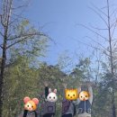 공주 계곡 이레 캠핑장 네이버블로그