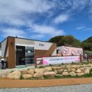 GS25(진해웅동점) | [진해 웅동수원지] 벚꽃단지 실시간 후기 (+4월19일까지 개방, 겹벚꽃, 주차, 아이랑)