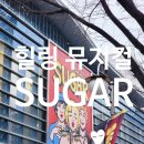 슈가(SUGAR) | 뮤지컬 슈가(SUGAR) 후기｜아무 걱정 없이 웃고 즐긴, 완벽한 힐링 코미디 뮤지컬