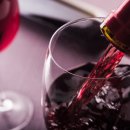 시크릿푸드 이미지