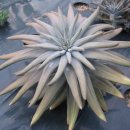 오곡농장 이미지