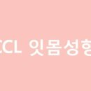 CCL치과 네이버블로그