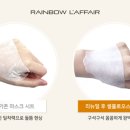 라파엘바이오 이미지