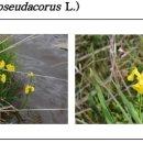 창포산업 이미지