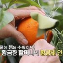 할머니농장 이미지