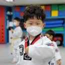 대솔경희대태권도장 이미지