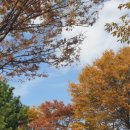 파크병원 이미지