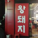 왕돼지 이미지