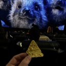 지샵안경 이미지