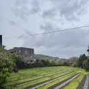 리멤버제주 | [제주 한 달 살이 기록] 제주 역사여행 추천, 너븐숭이 4·3기념관 관람 후기 🌺🌺