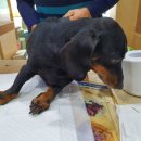 산청동물병원 이미지