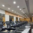 MKG 피트니스 이미지