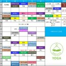 좋은요가 | 건대 아메리카요가 직장은 굳은 몸 푸는 테라피요가 vs 땀빼기좋은 전통요가 후기(주차, 샤워실, 수련실...