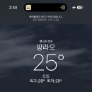 Let´s pasta | 3박 5일 보홀