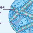 삼화비젼