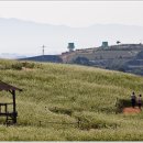 고창농장 이미지