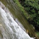 경빈농장 이미지