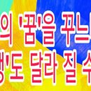 대성 합기도장 이미지