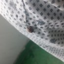 서산중앙병원 이미지