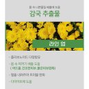 크림 스킨바디 이미지