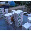 피서농장 이미지