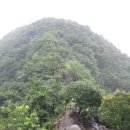 오랍드리 이미지