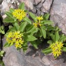 기린초등학교 이미지